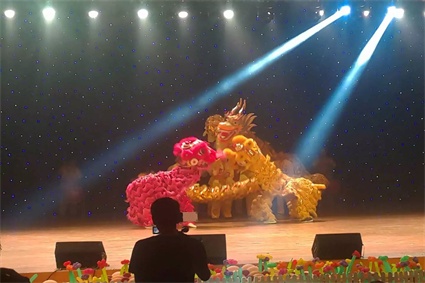 武术《舞动青春》2